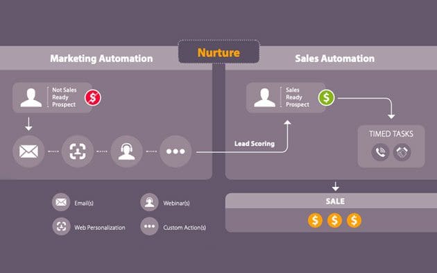 Email Automation - Advertise It